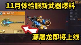 手游体验服最新爆料,神秘新角色登场，战斗系统革新来袭！